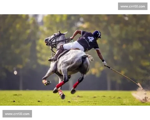 全新体育官网首页上线，打造极致用户体验，尽享全球体育赛事精彩内容